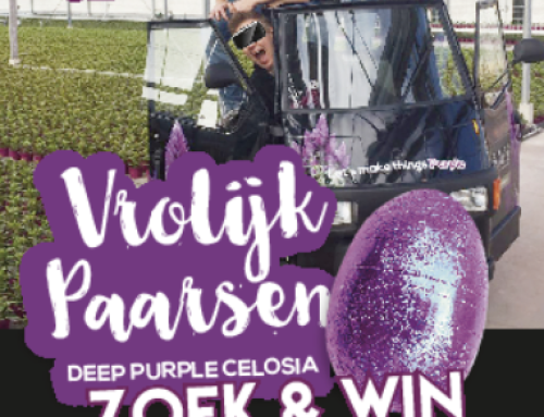 Zoek & Win in virtual reality